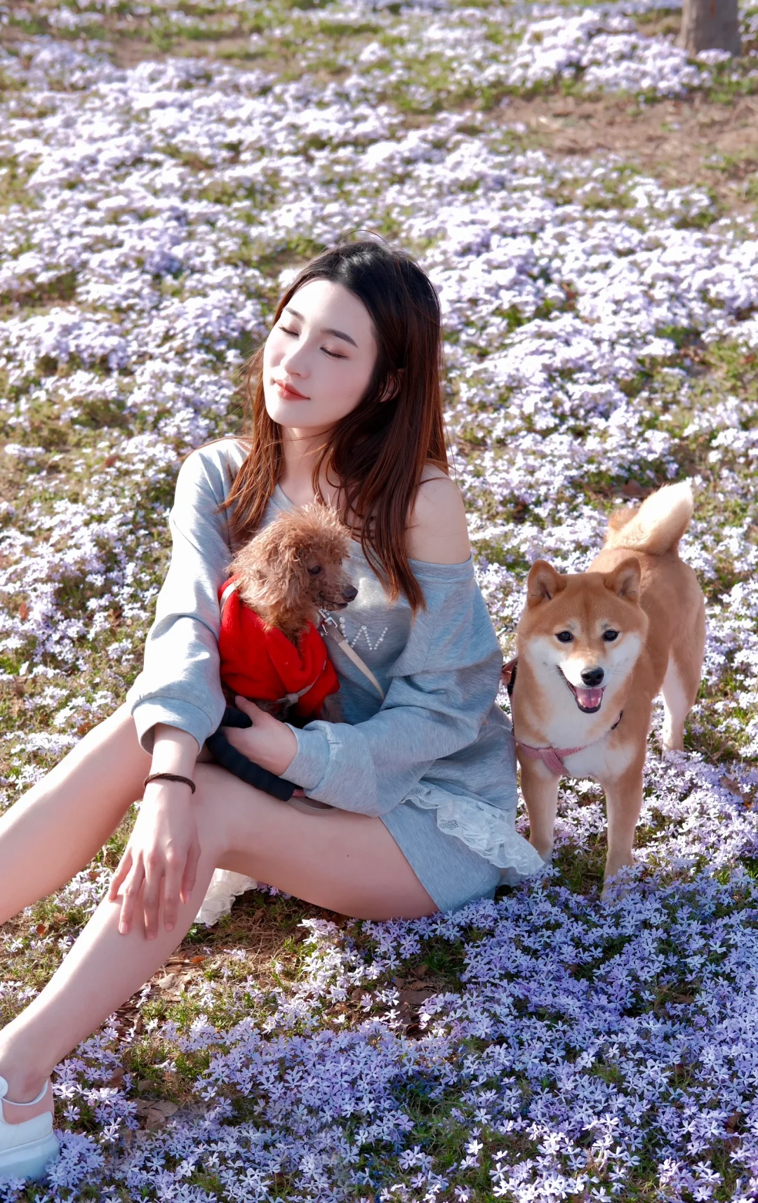 如果你在看花的话，就看一次吧！🌸