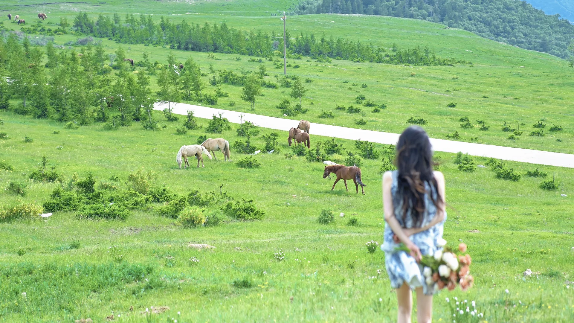 📍呼和浩特 | 草原约拍🌸