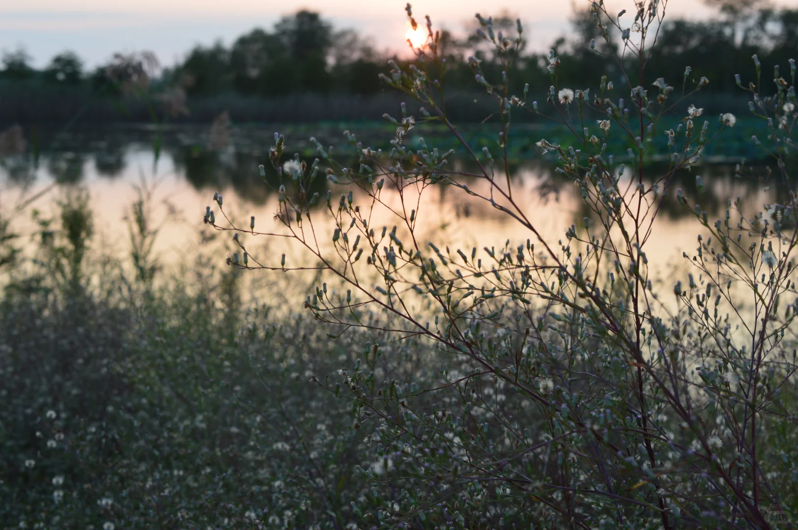 快看这个女人拍的摄影作品，曾惊艳一世