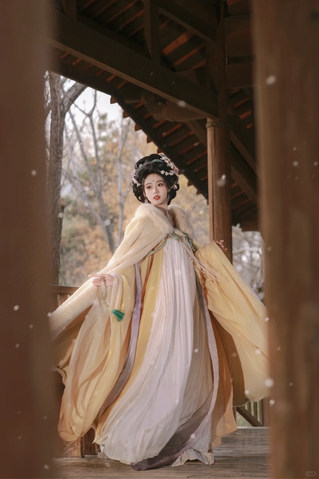 大雪❄️｜霜雪满头，亦是白首