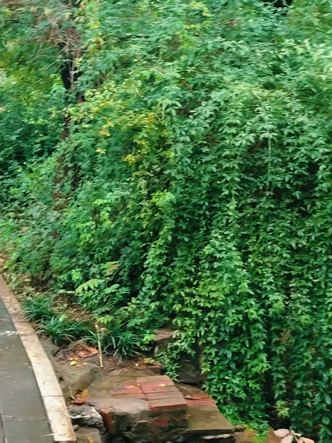 被她的气质和气质穿搭吸引！