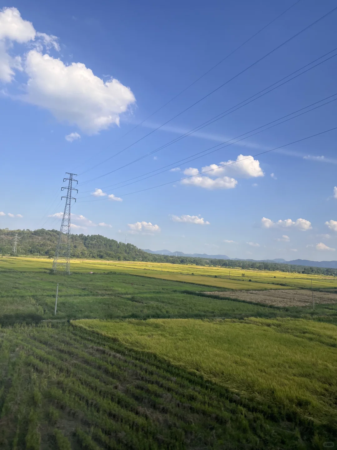 减重20斤，我也体会到了美女的待遇