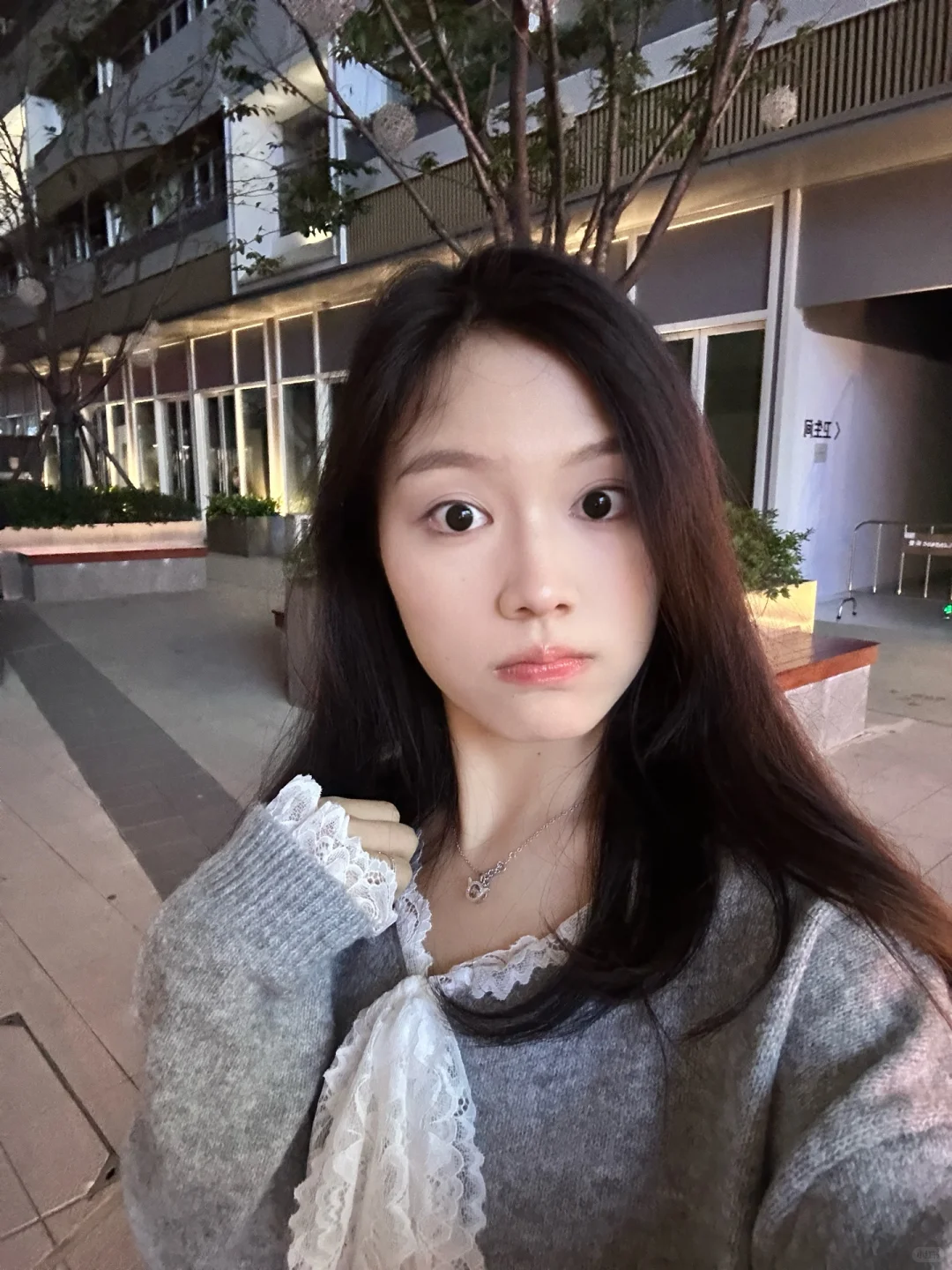 今天的一些live图🙋