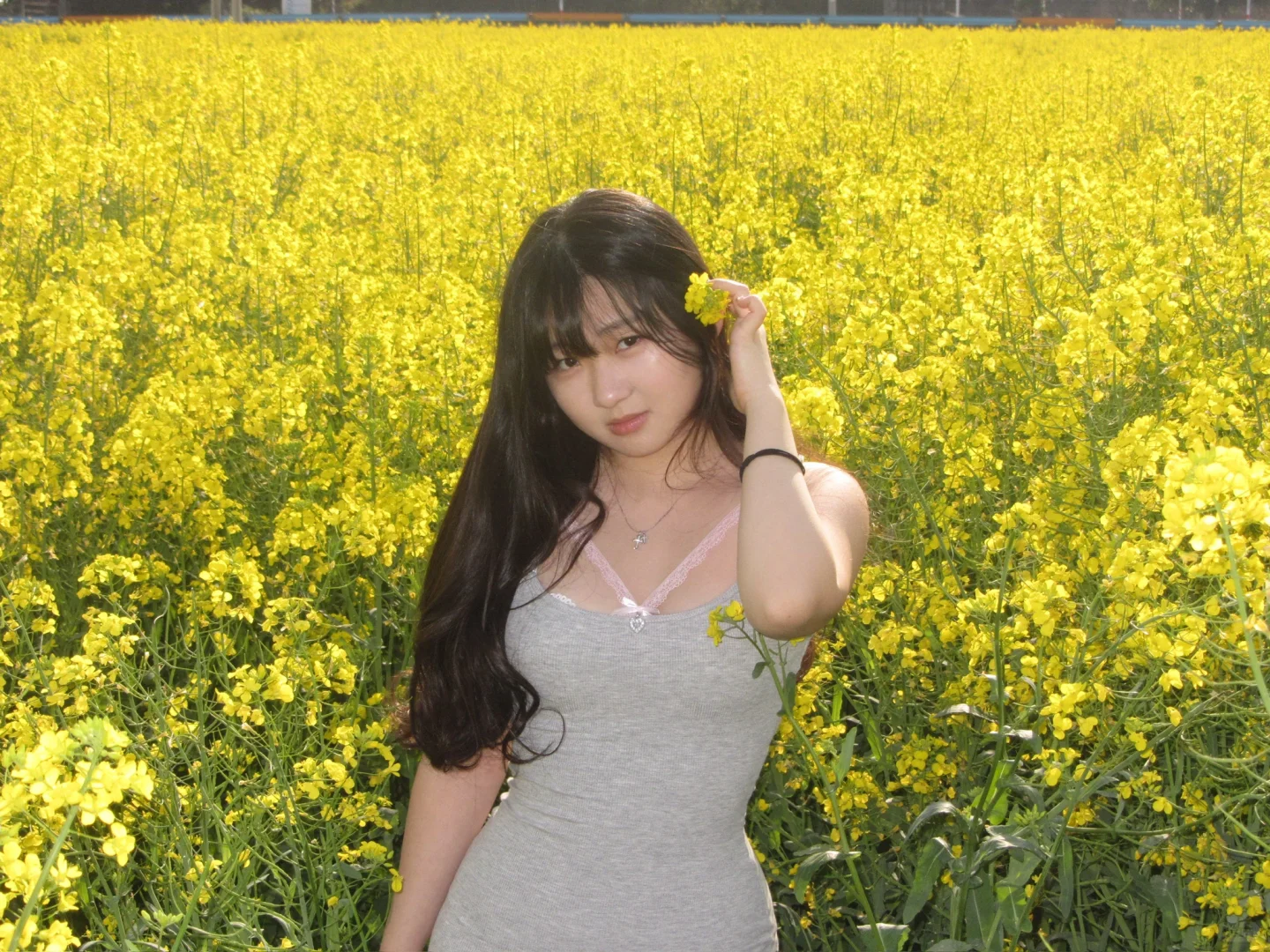 上饶也有大片的油菜花可以拍啦！！