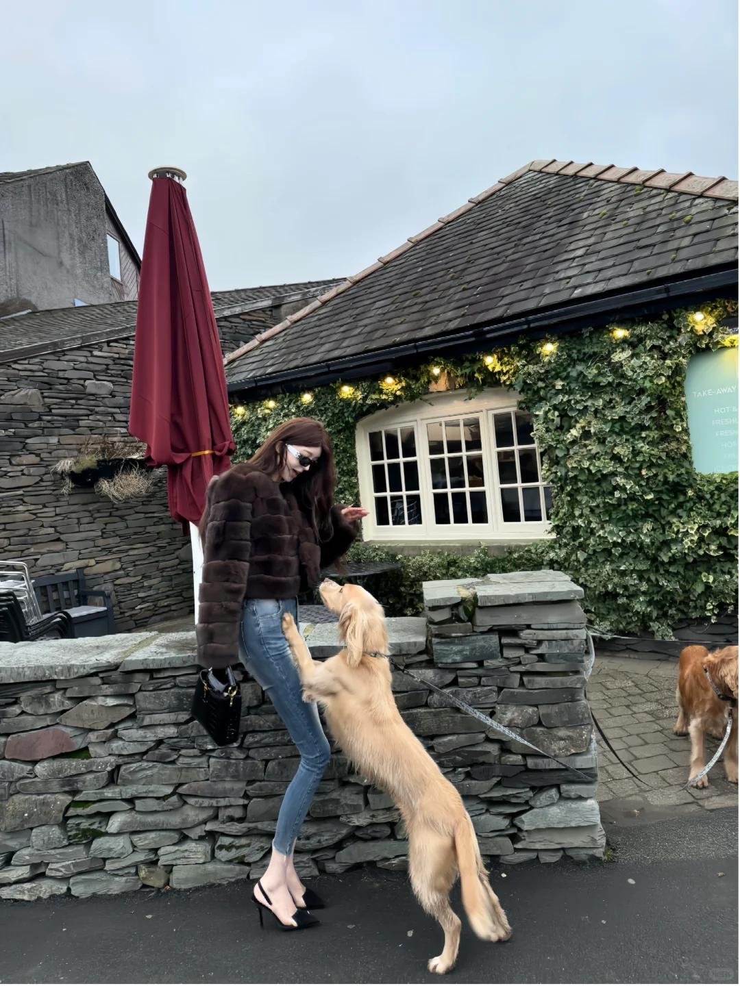 习惯了英国的阴雨天🌨️