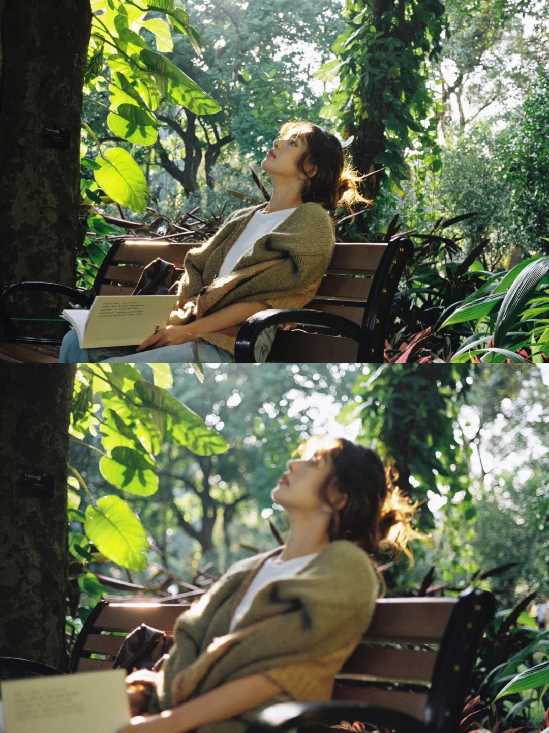 又是一年秋🍂风里渐渐有秋天的味道啦