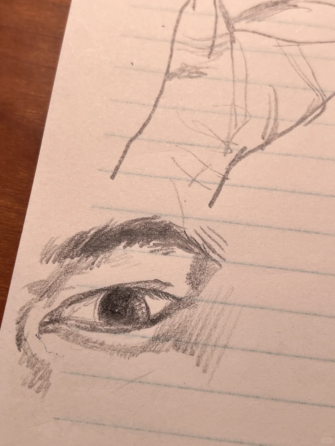 真的被人体的美震撼到