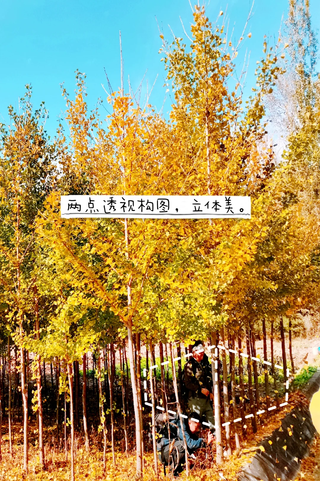 拍照 | 审美 | 构图 | 灵感 No.01风光人像