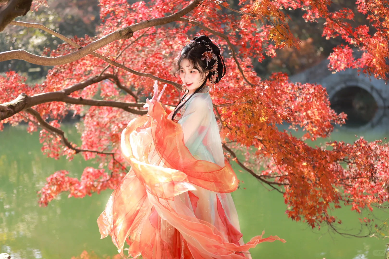 浮光映锦鲤，万事皆如意