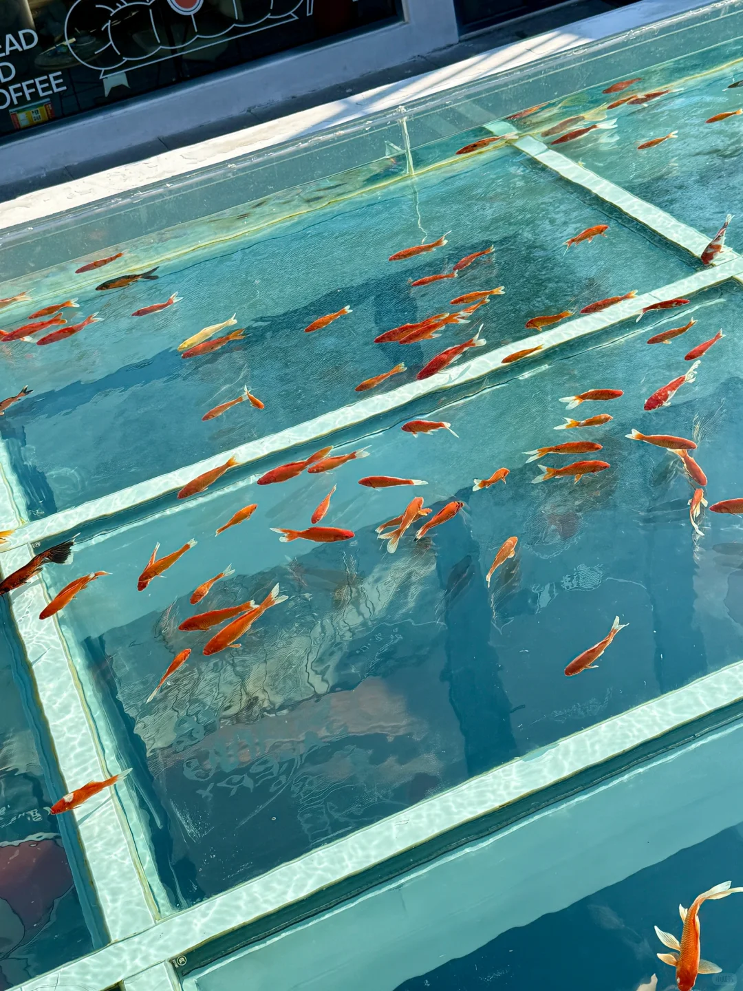 还是得出门走走😇