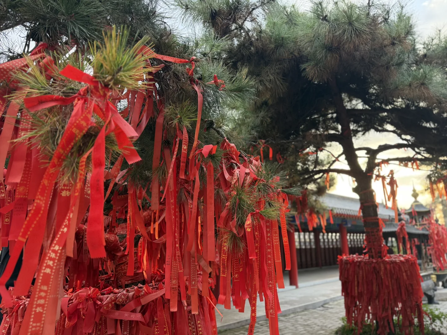 袜子之乡，辽源打卡！