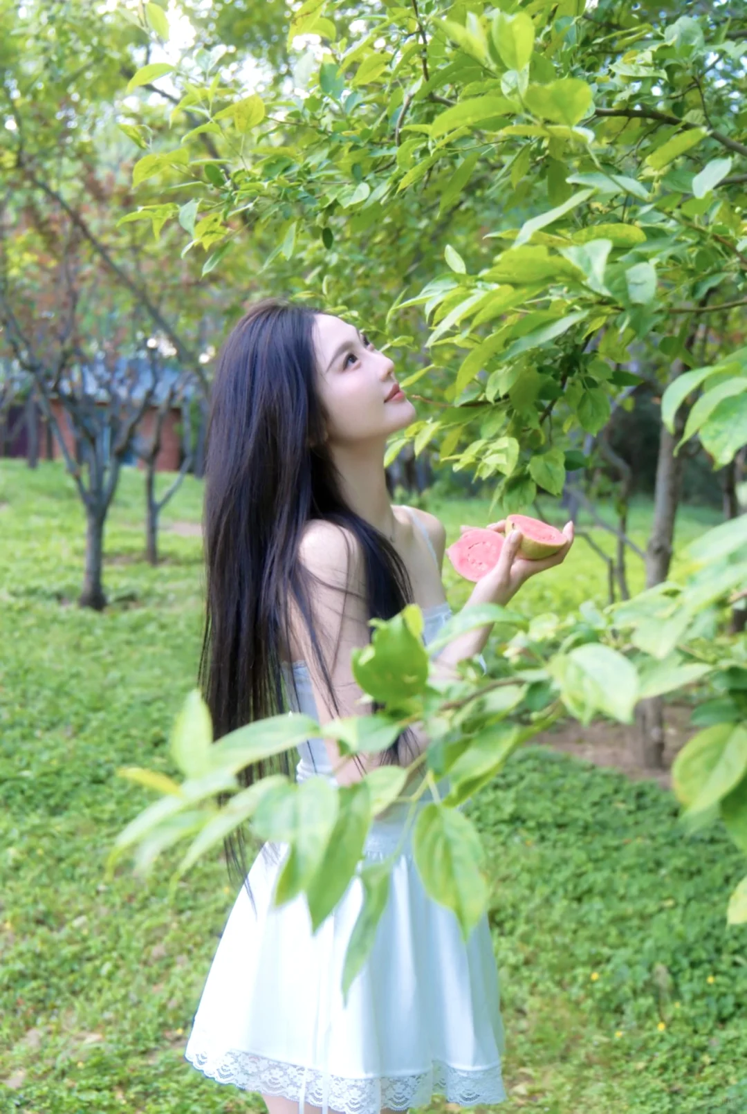 收集绿意的初夏🍀