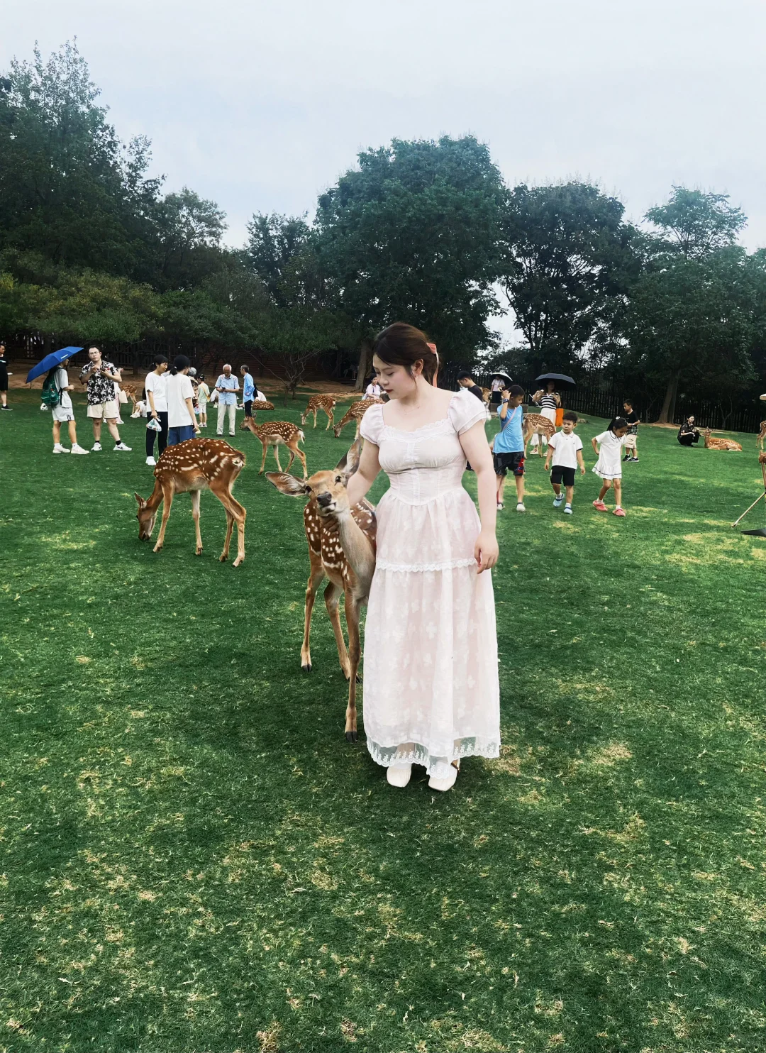 145斤正方形女生｜胖胖女生配泡泡裙很出片！