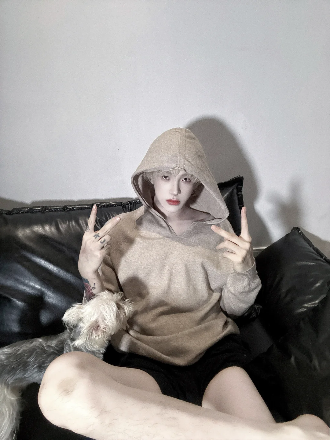 小狗都看不下去了