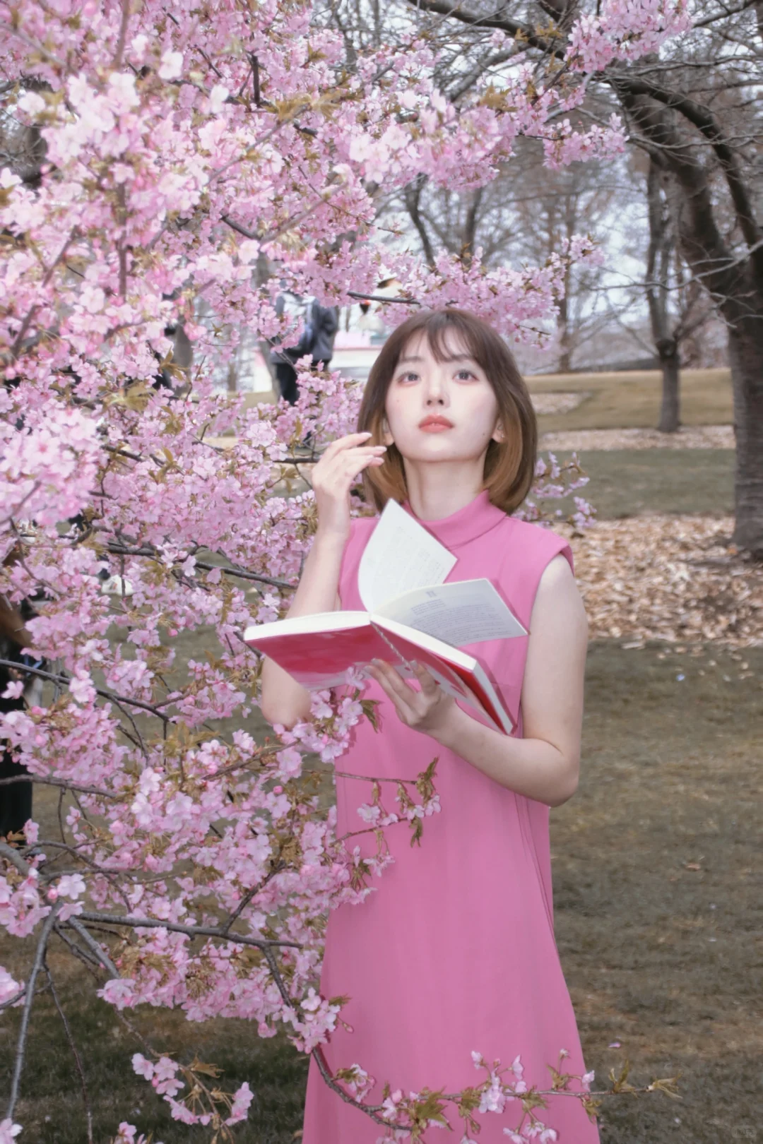 拍成这样收500不过分吧！