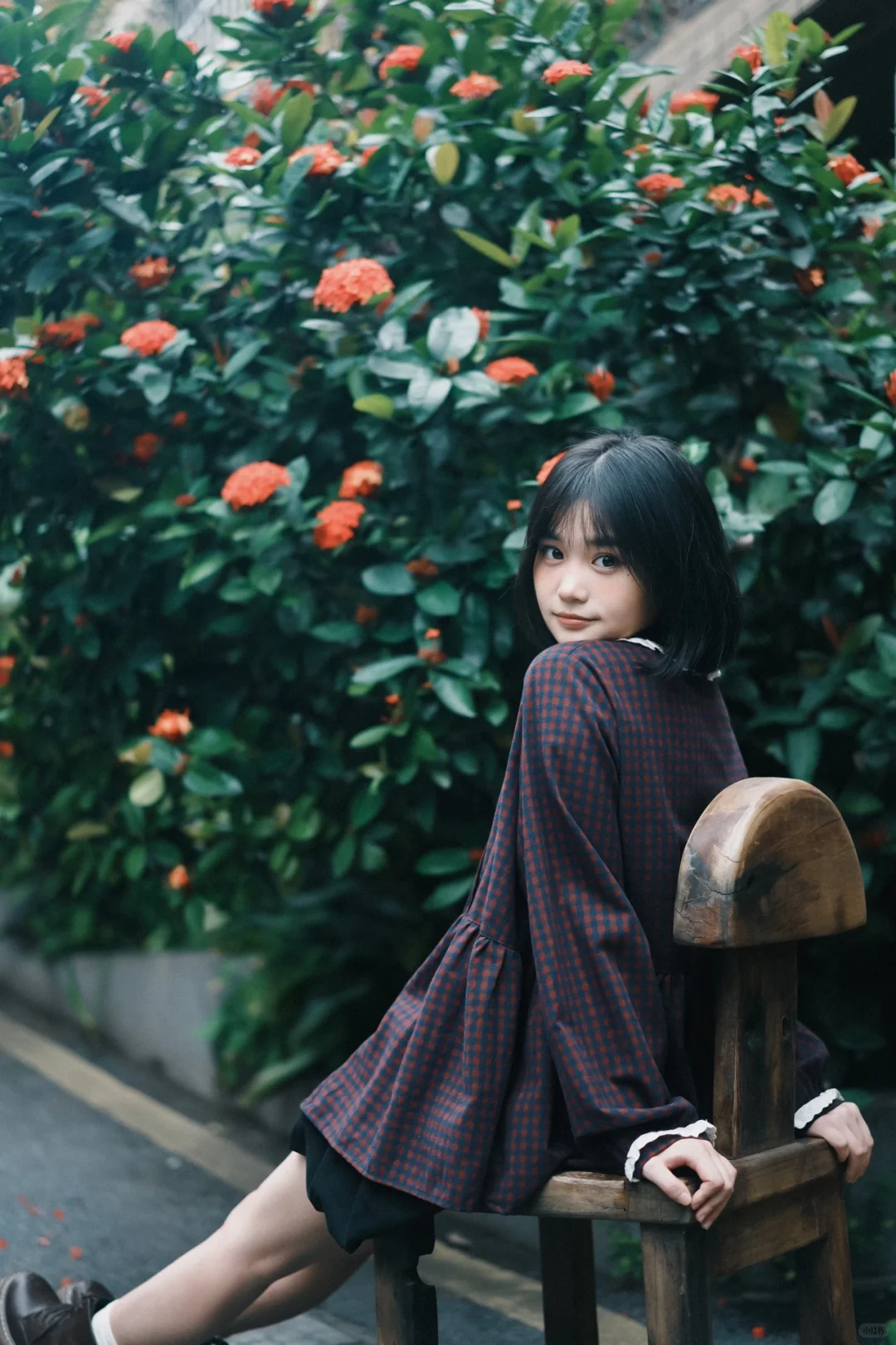 我镜头下的春天