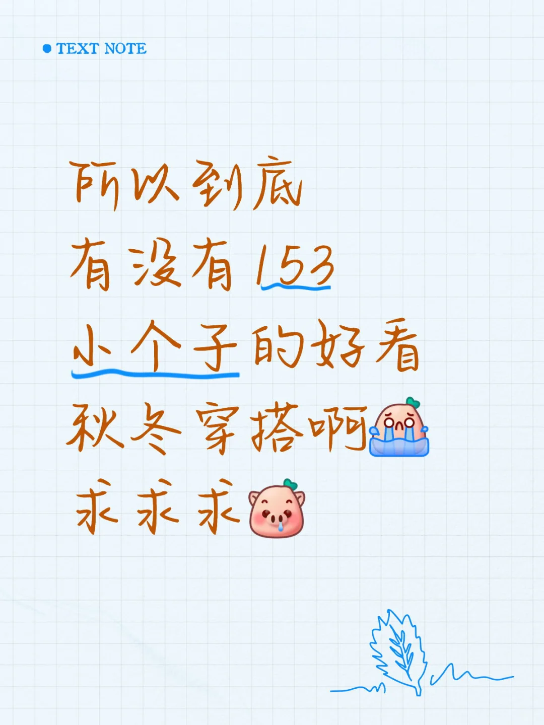 153 107的秋冬穿搭还有救吗