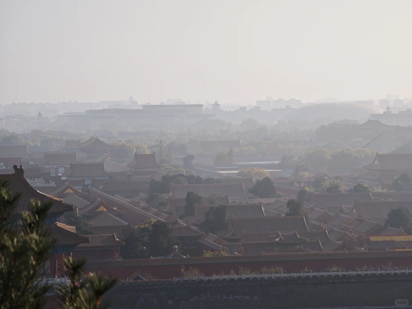 怎么个事儿，格格回家还得儿预约！！！