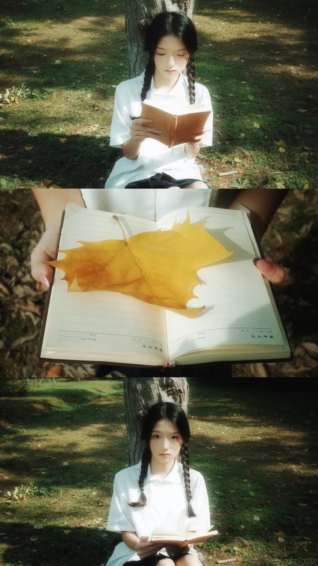 池州女摄｜全屏打开光、树、草交织的梦境