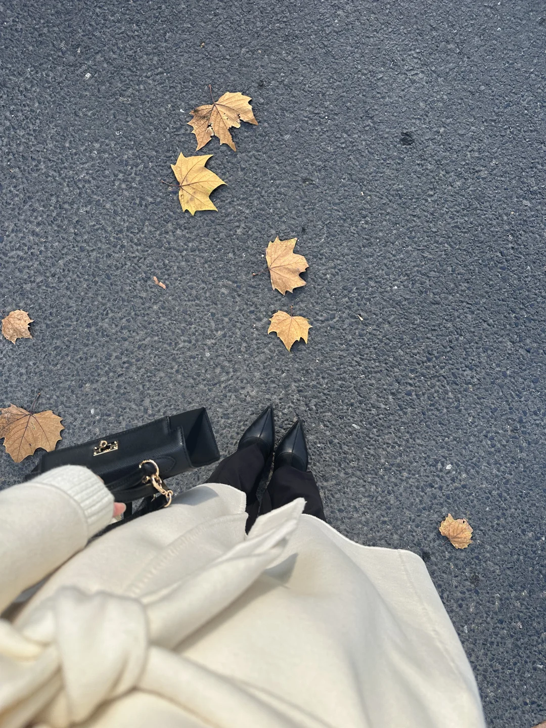 风里已经有了冬天的气息