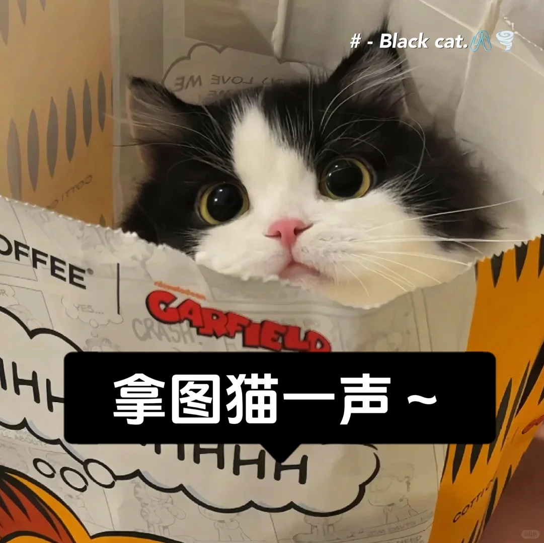 𝙎𝙝𝙖𝙧𝙚 ⚪️ 清透感夏日女头