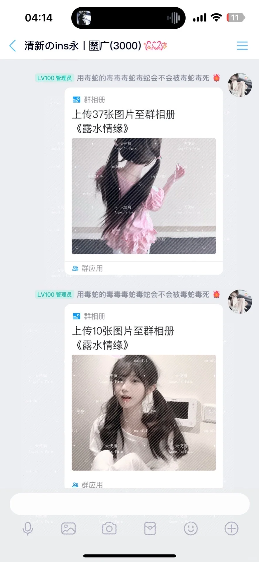 清新自截永会3700人，上头率高大po都在入？