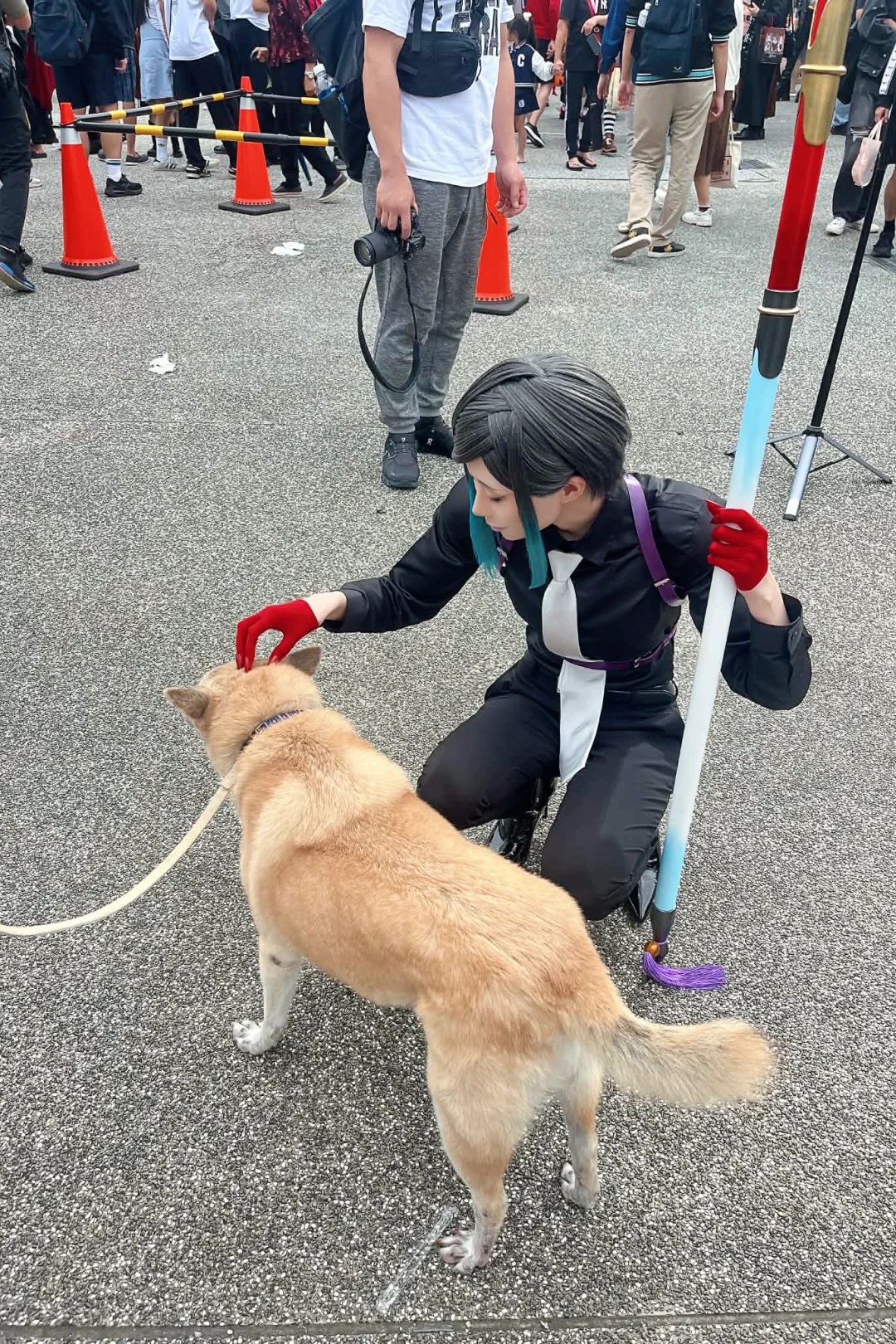 不敢摸阿鲁几，那只好摸狗勾了