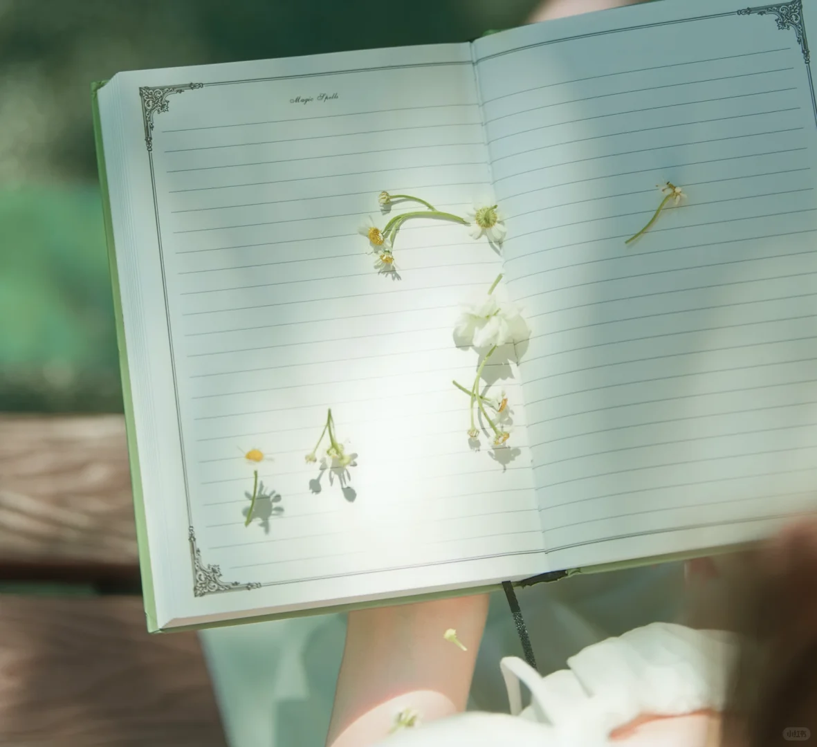 夏日偶尔躺在树荫下的草坪上🍃