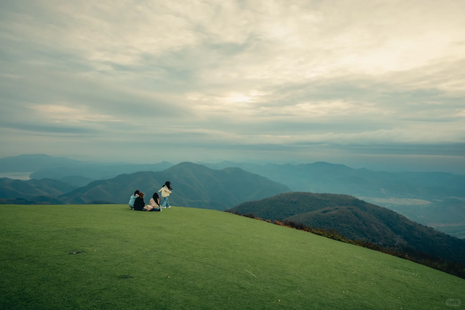 王位山早上拍延时摄影全程出镜的四位美女