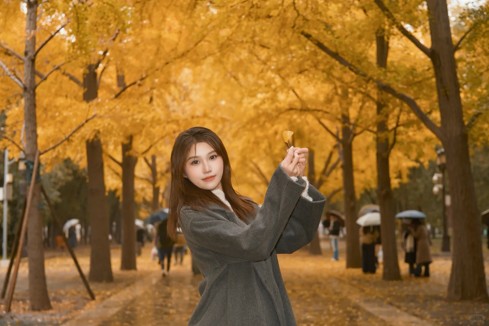 北京地坛银杏｜富士女摄免费拍🍂 谁懂啊！