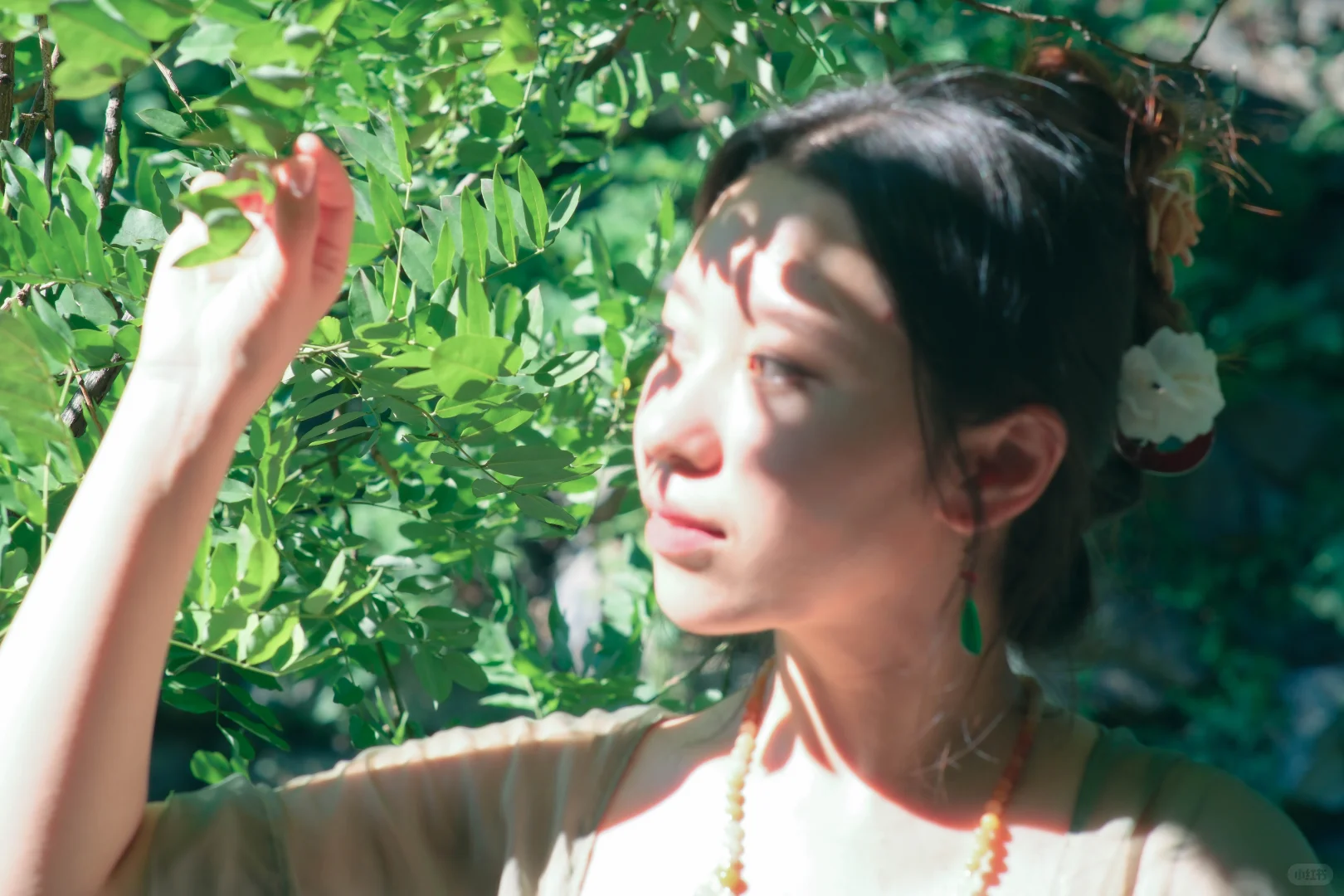 相册里藏着的夏天！