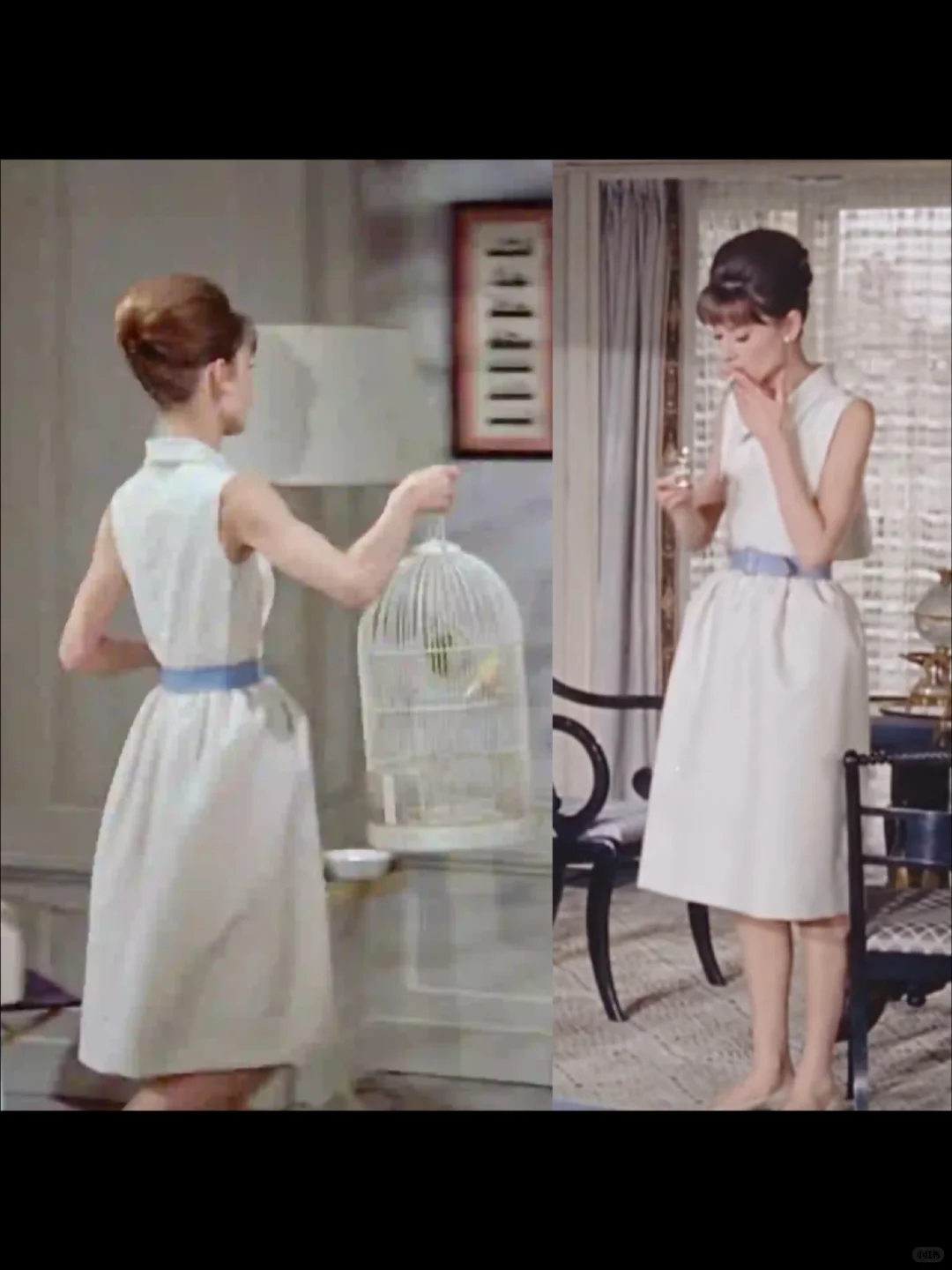 永恒的经典｜优雅永不过时