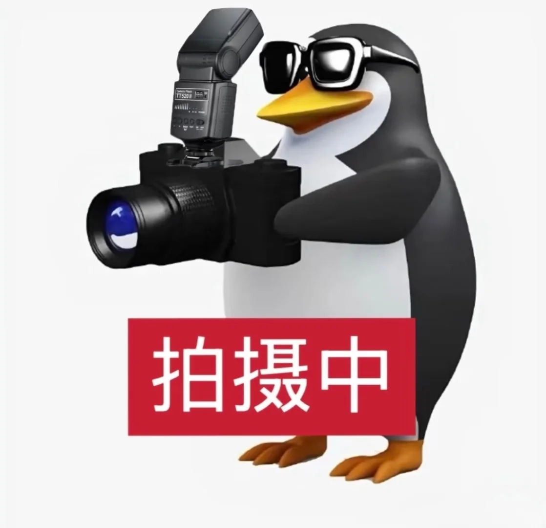 我约你了！哈尔滨陪拍女摄来啦！