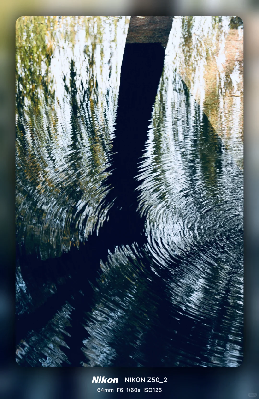 05尼康女摄|相見時難別亦難