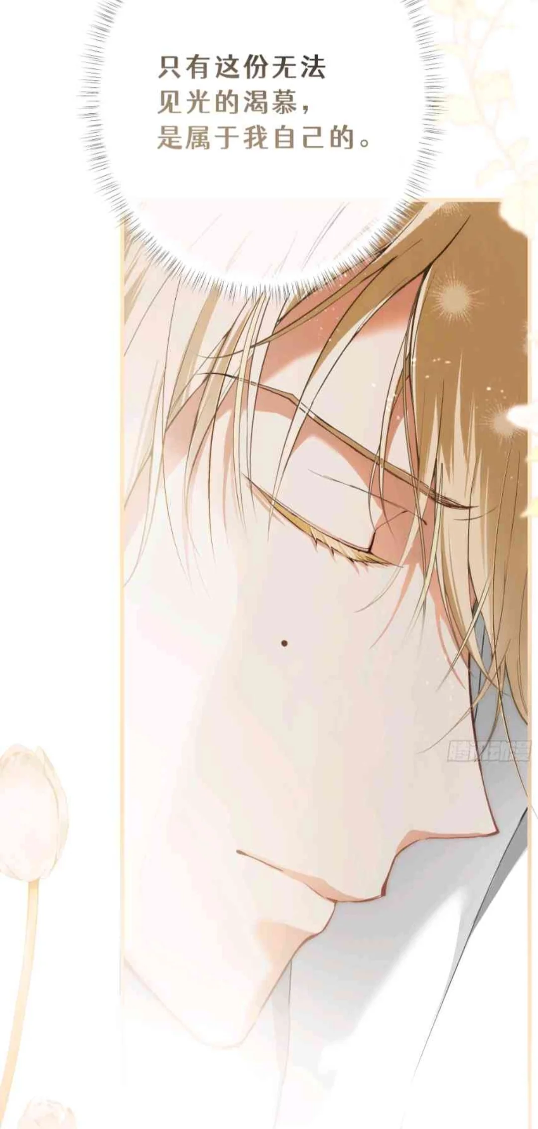 我的一切都属于她，唯有这份爱慕是属于自己