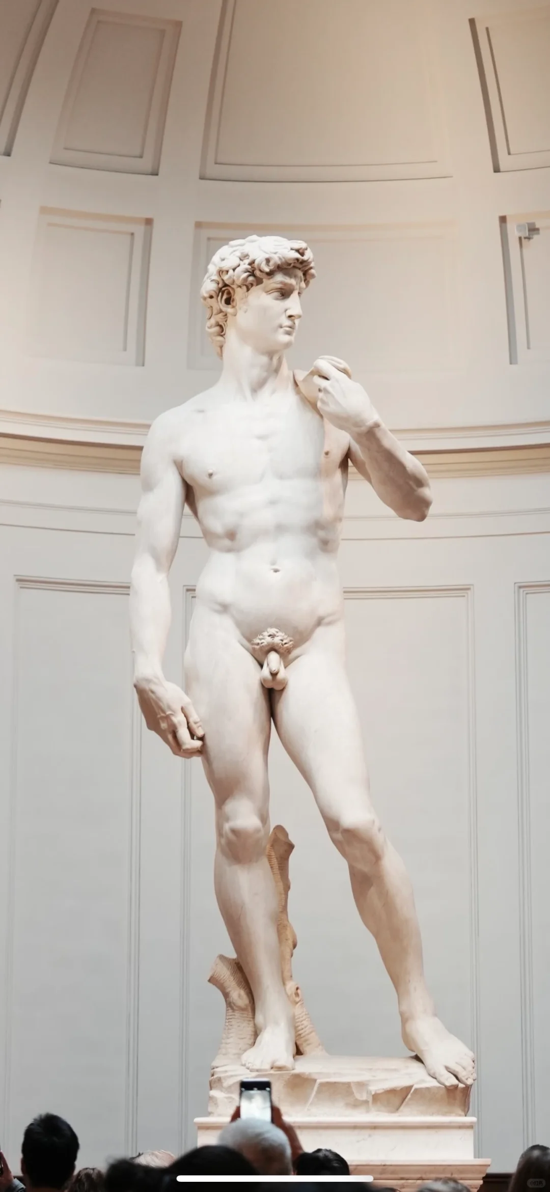 美到窒息的米开朗基罗大卫雕像