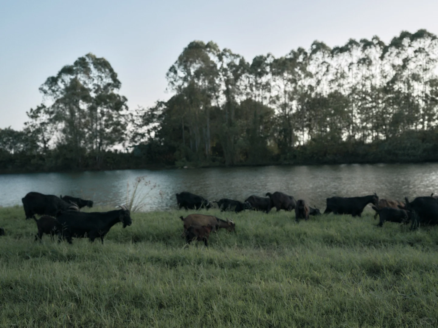 分享｜00后女摄影师用镜头写就的视觉散文