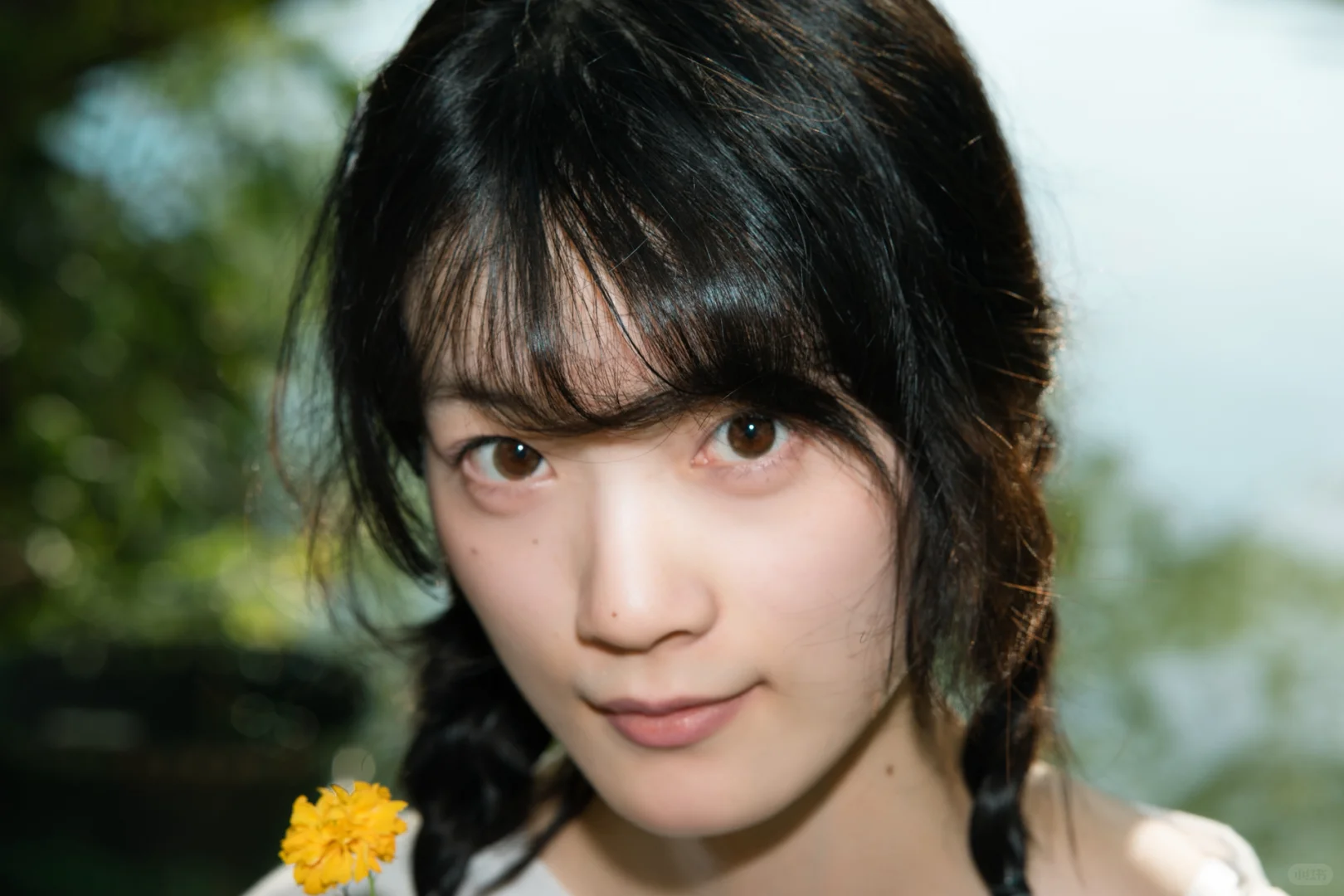 白裙，绿树，少女