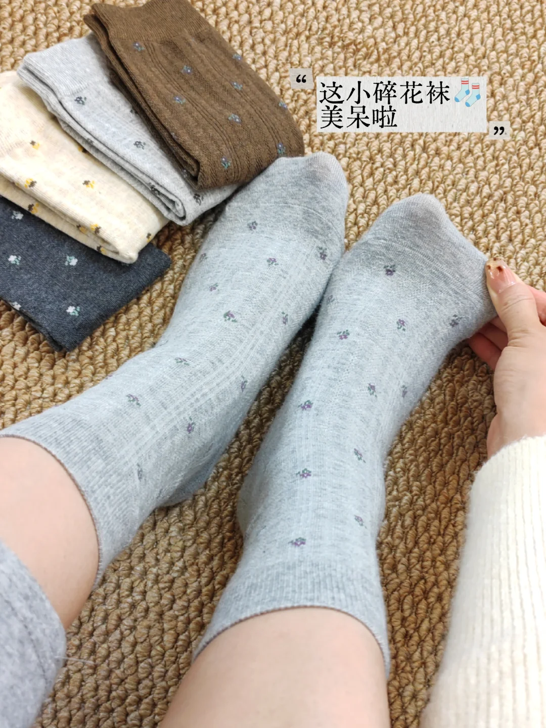 碎花袜子🧦｜秋冬选哪个色袜子好看！