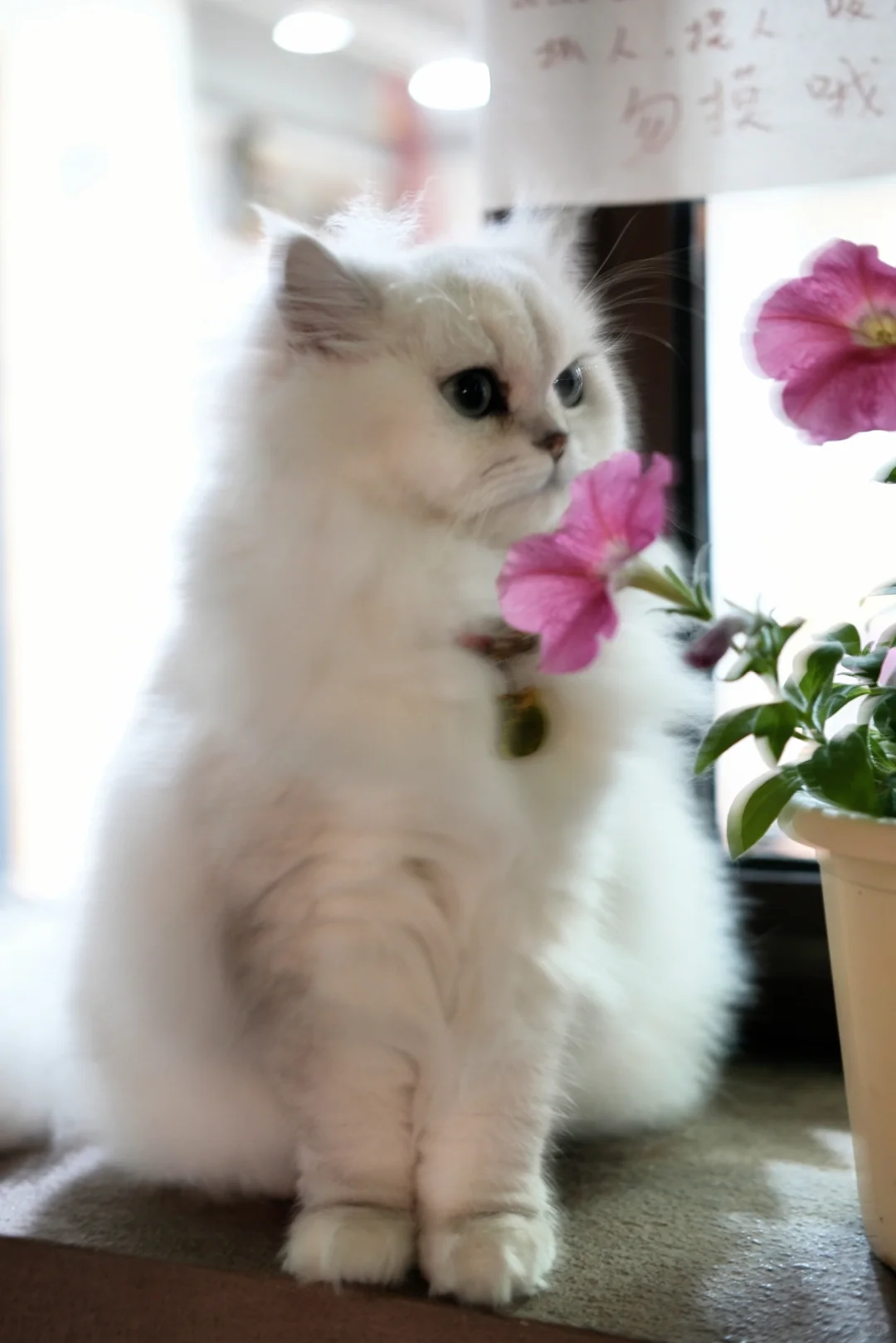 女孩子找我拍照好吗