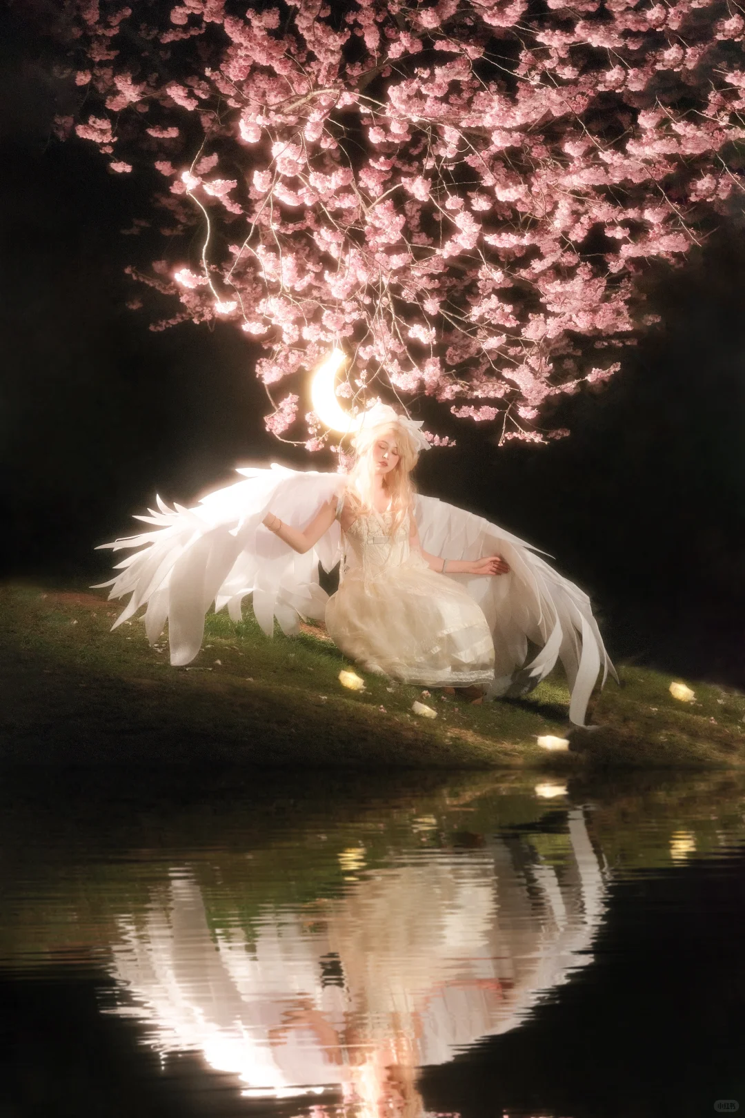 蹲蹲12月去大理的模特！俺是摄影！