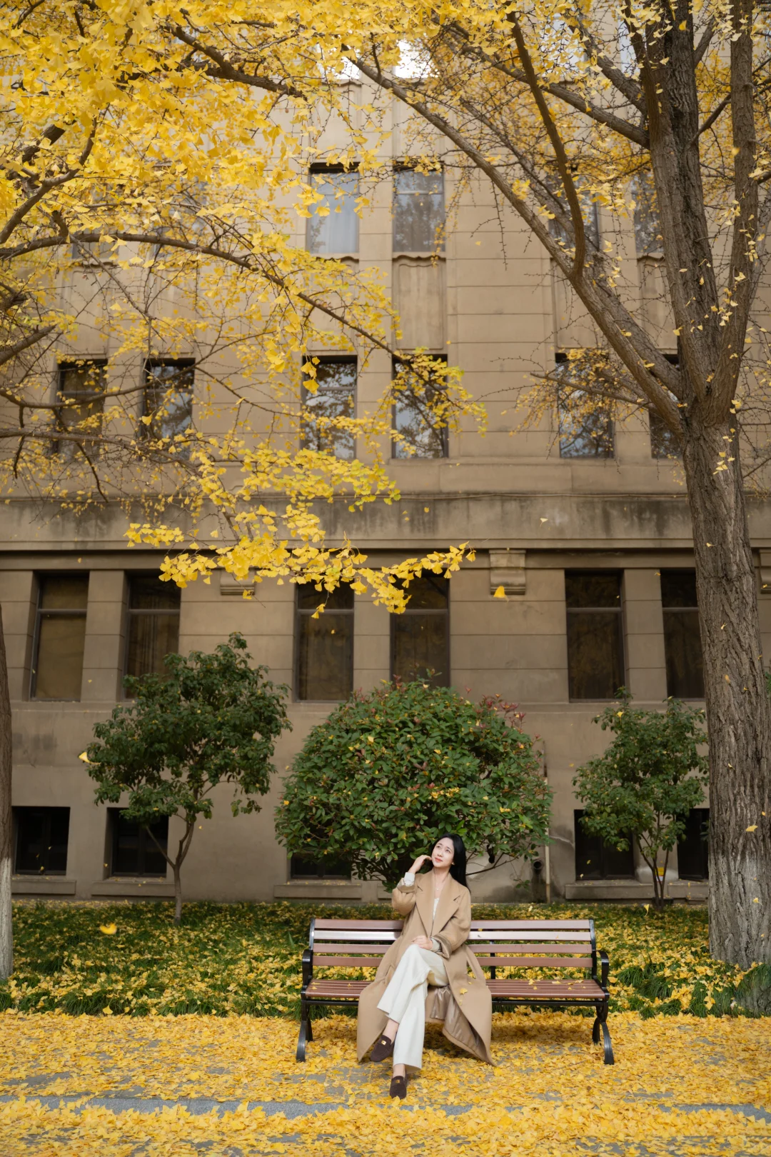 一些i人小幅度银杏拍照动作