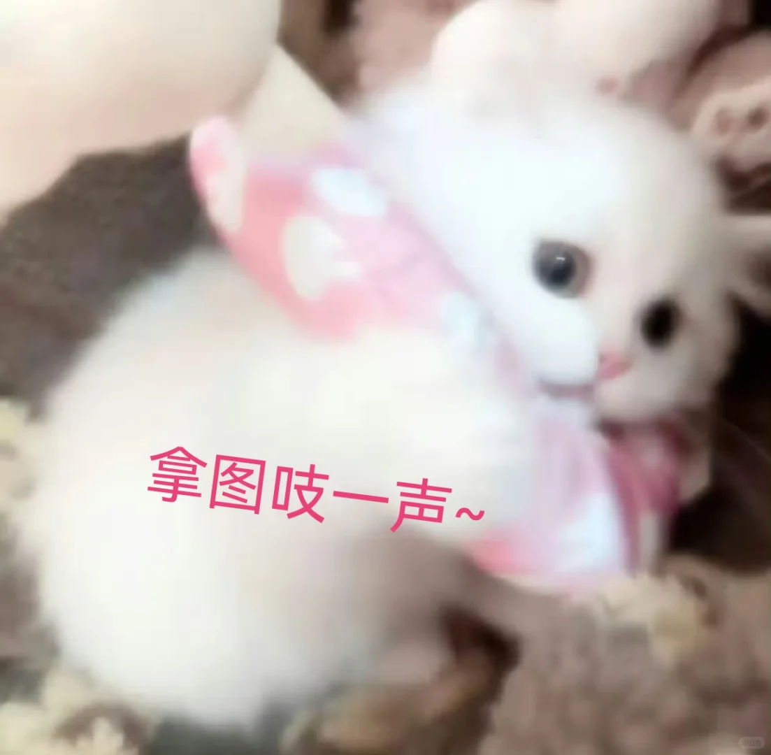 分享一组女生头像 🍞ᜊ🐾