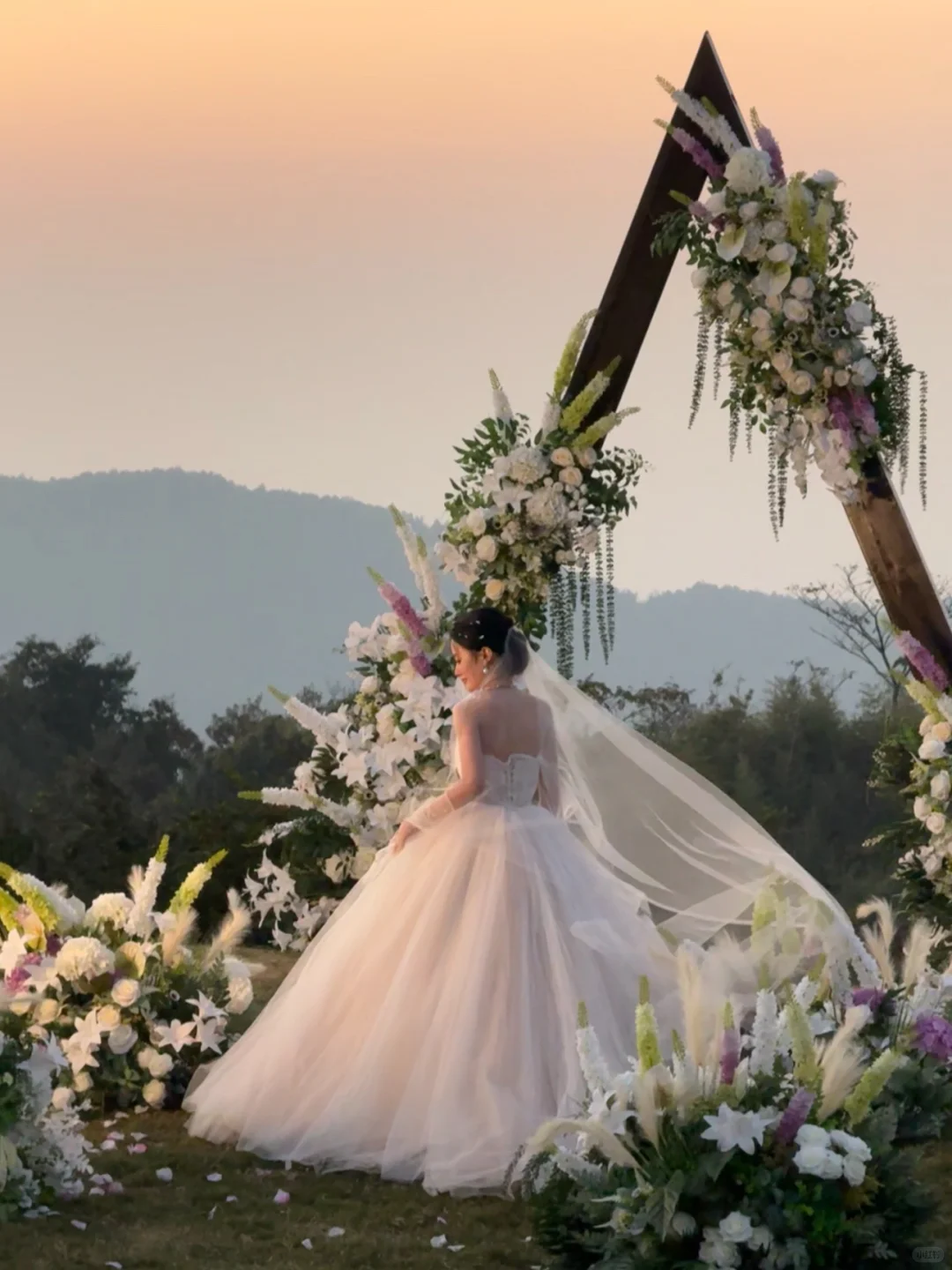 薇町女明星体验感超棒