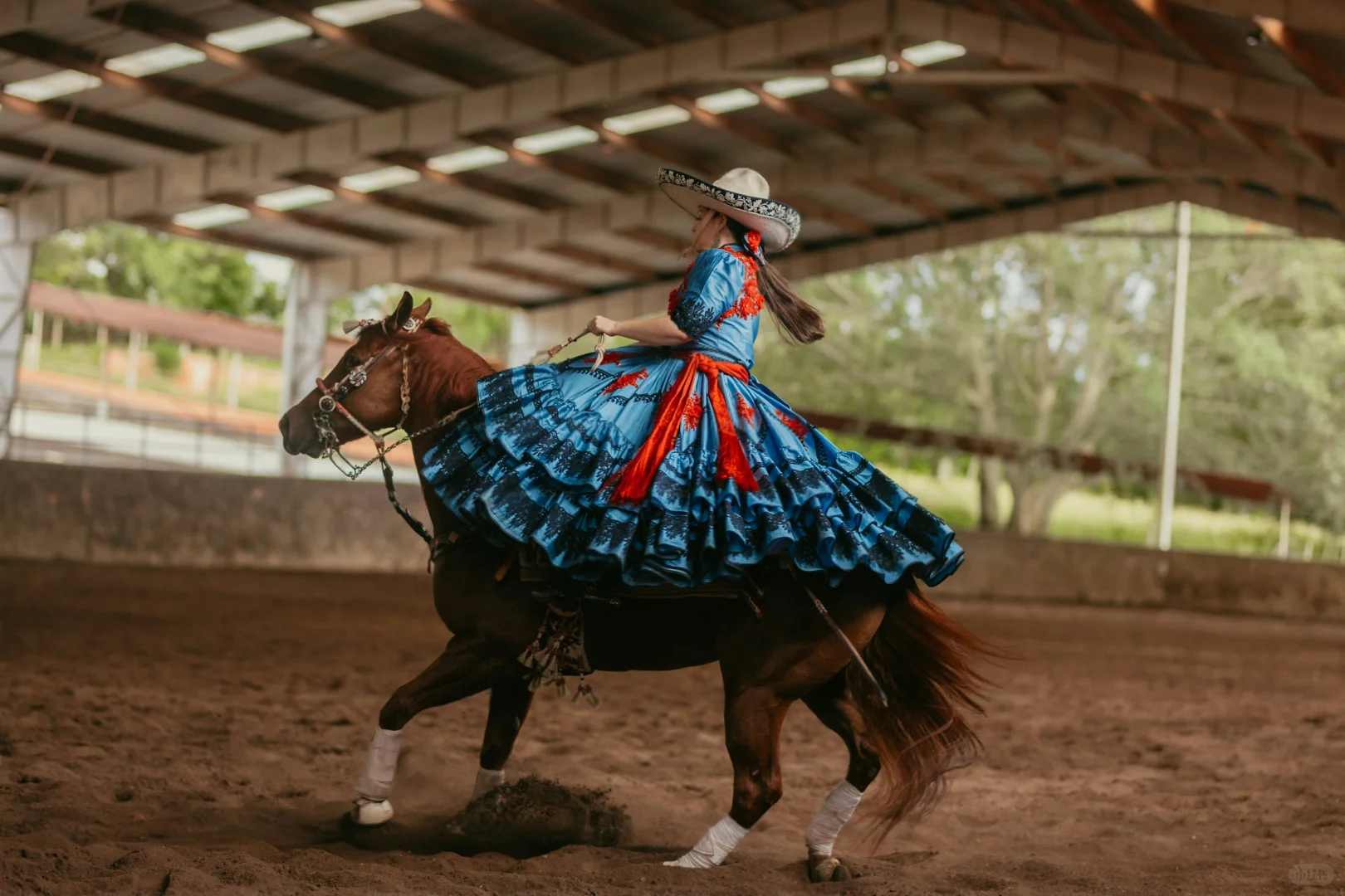 铁蹄上的维多利亚之裙