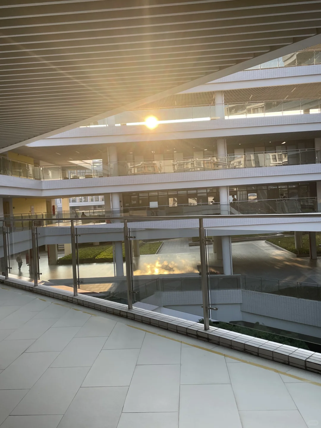 超爱的美女博导👩&zwj;🏫