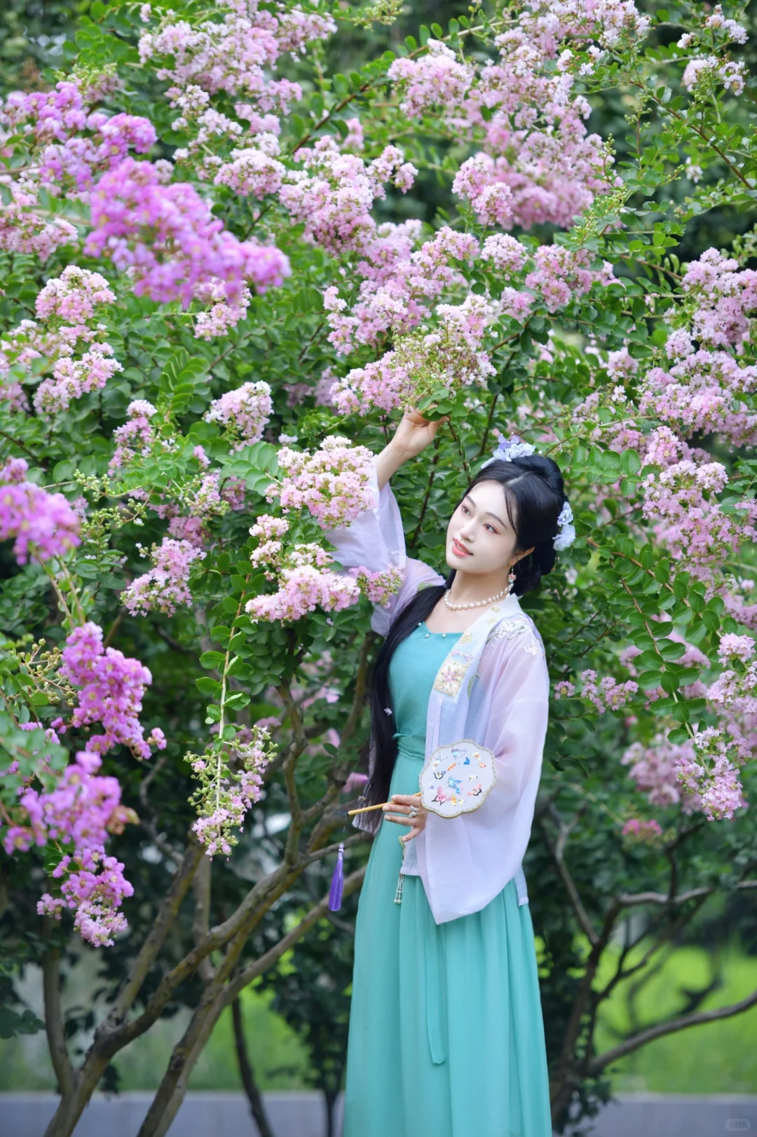 🌺紫薇漫卷时，汉服藏着一整个盛夏的诗意