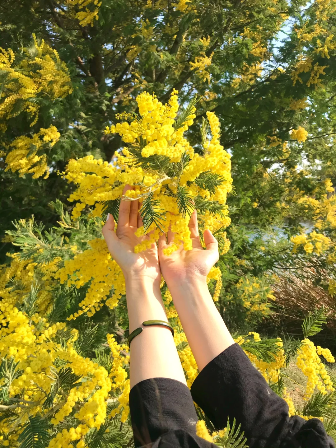 只有春天才能拍到的感觉🍃