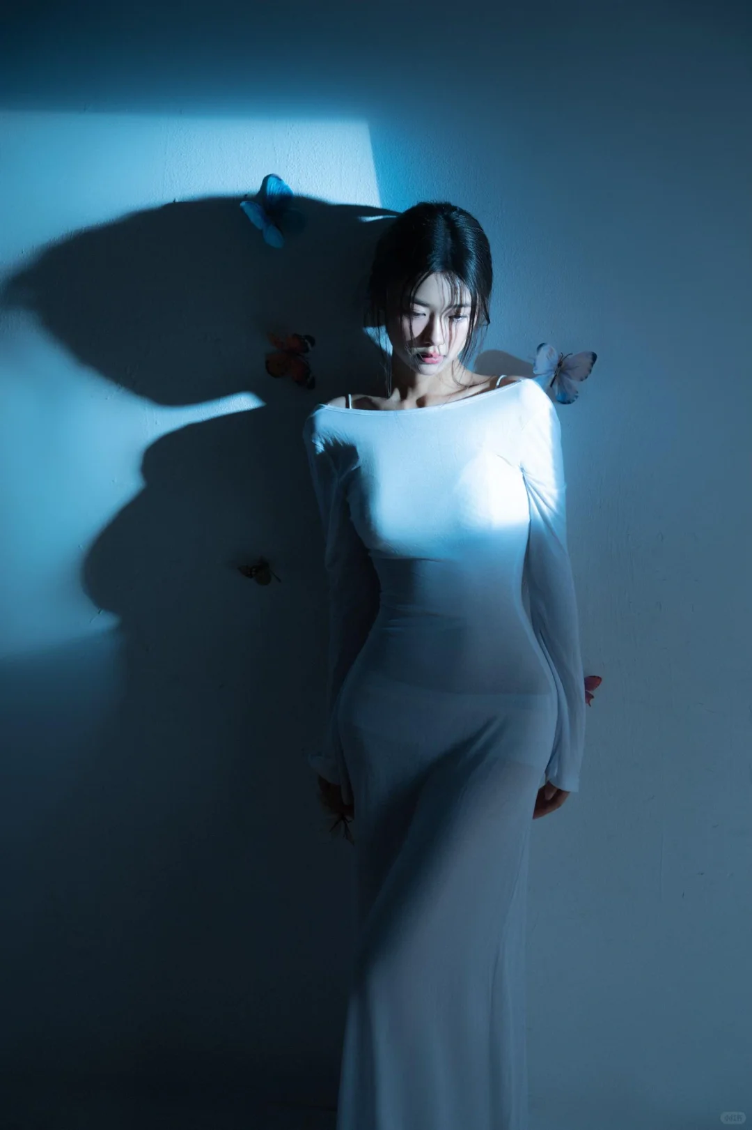 万物与我都是自由诗🦋蝴蝶光影肖像写真