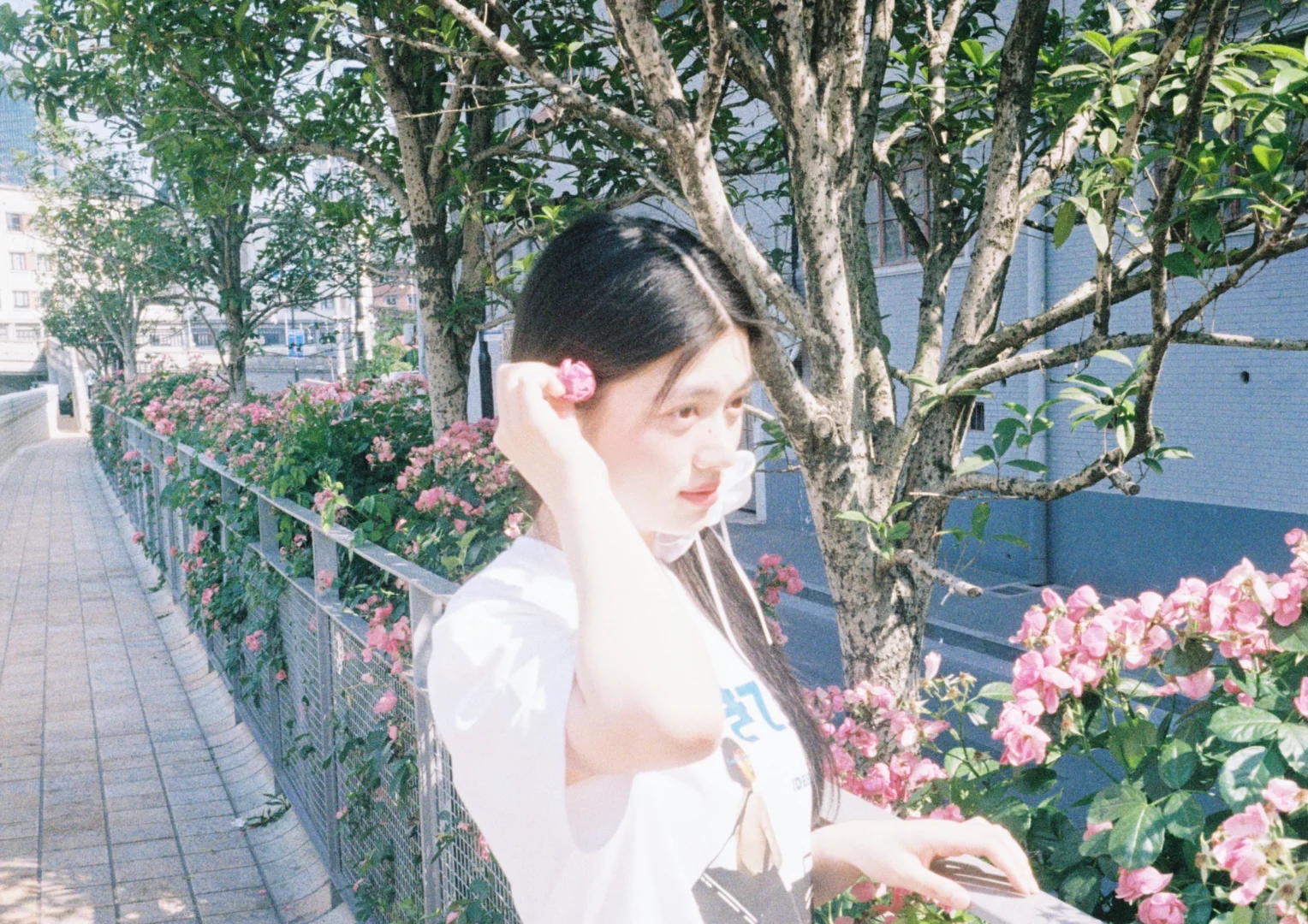 存一些适合i人的光影拍照